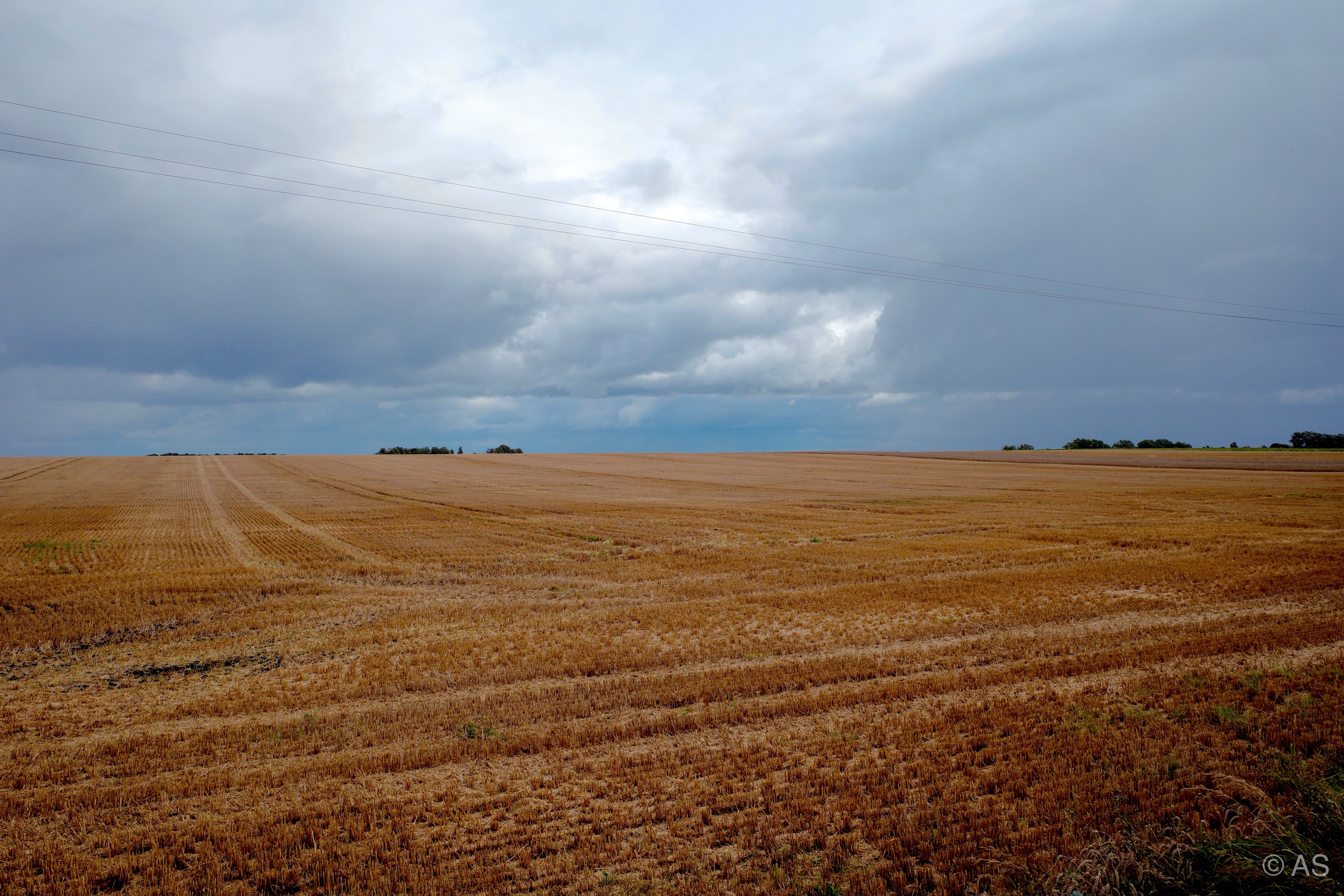 Harvested wheat field stretching to the horizon under a brooding stormy sky